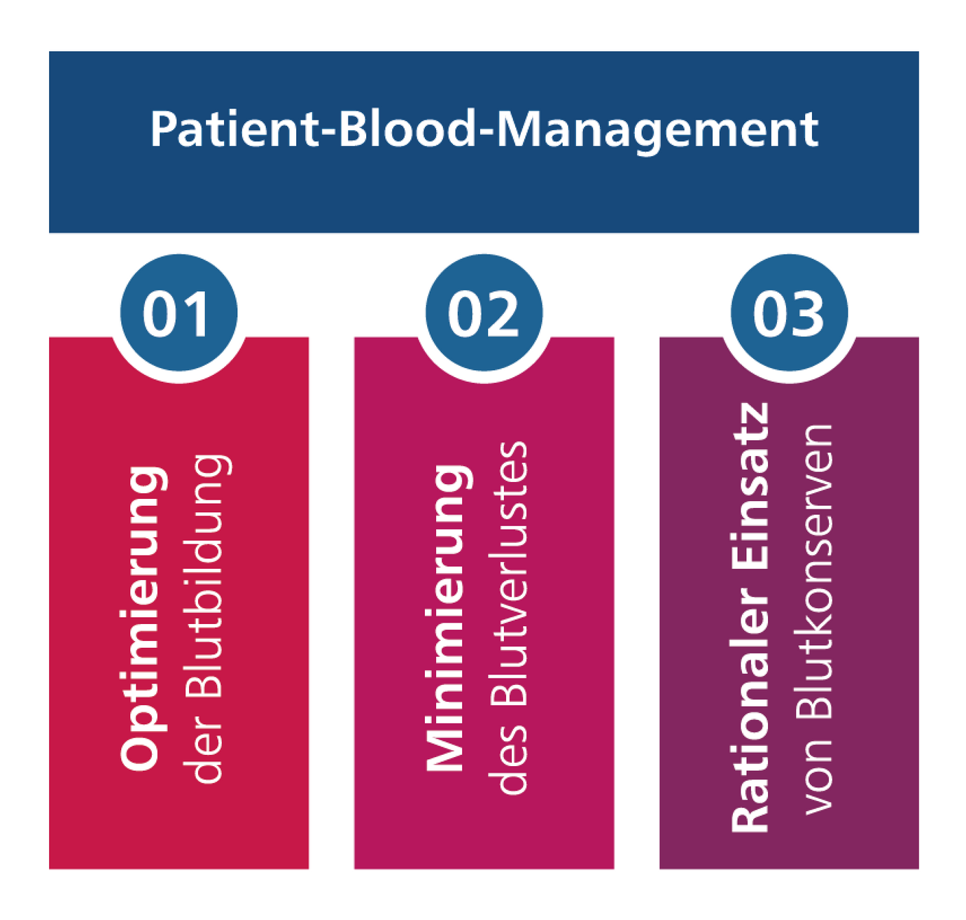 Illustration Patienten Blut Management