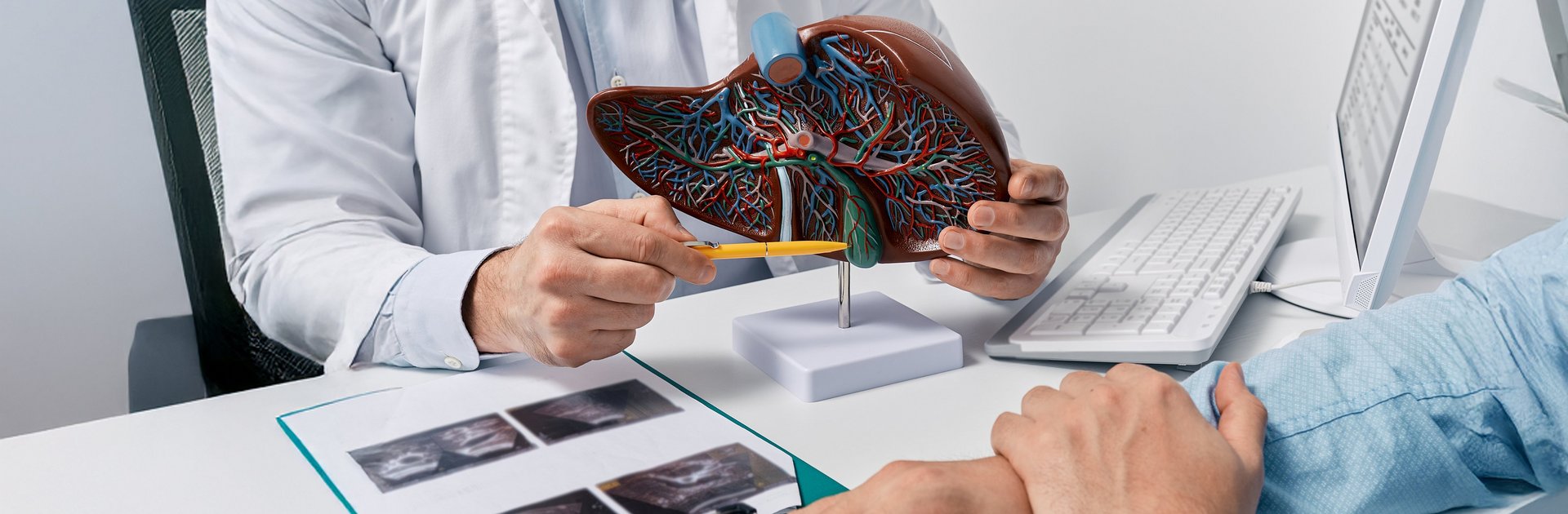 Arzt erläutert Patient die Leber